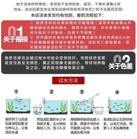 非洲十間魚|十间鱼